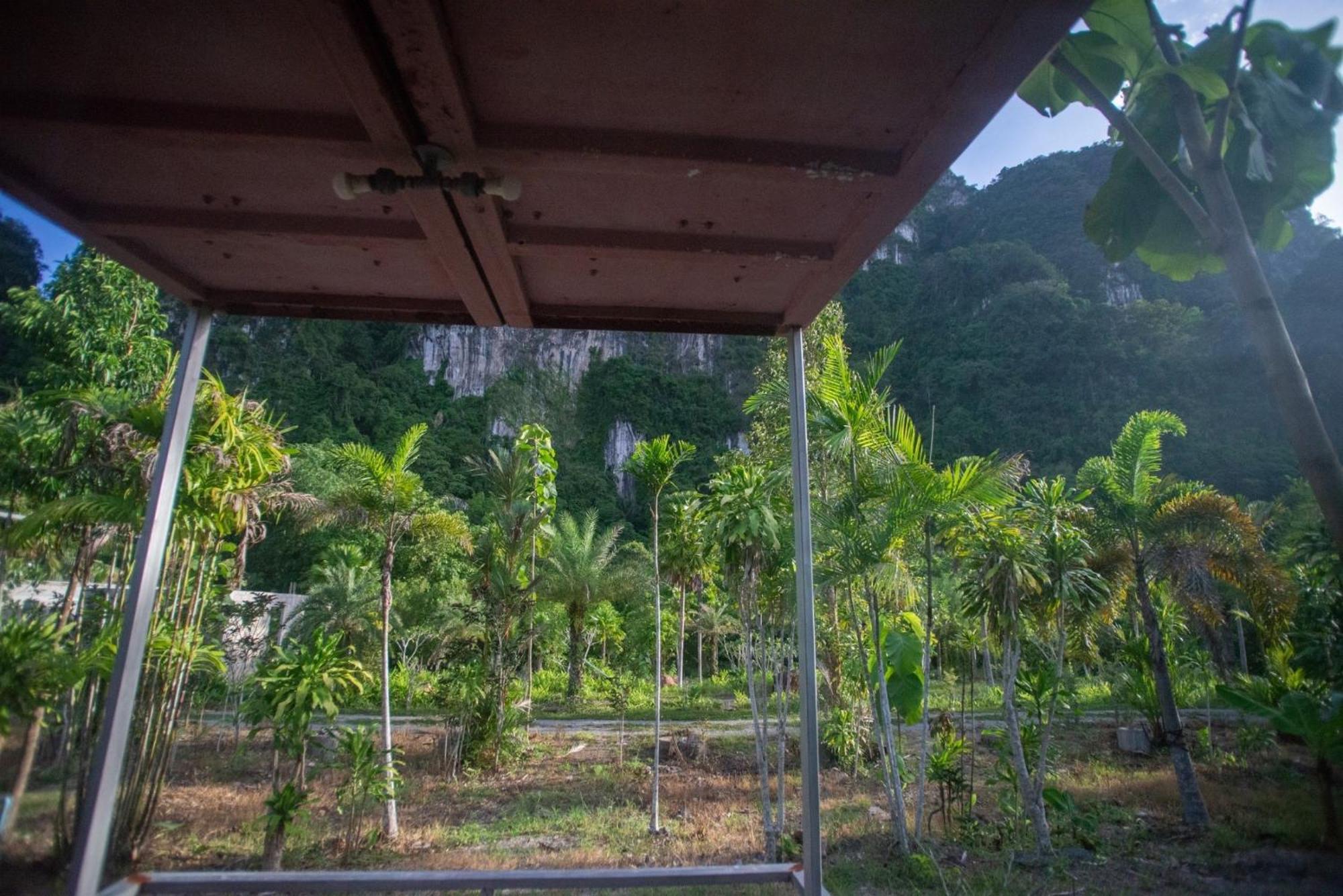The Camper Lodge Khao Sok บ้านบางบอน ภายนอก รูปภาพ